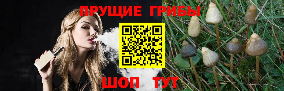 Сухой Лог  Псилоцибиновые грибы Psilocybine cubensis  Вход с VPN 
